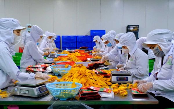 Quy trình xây dựng và vận hành nhà xưởng cần phải đạt chuẩn