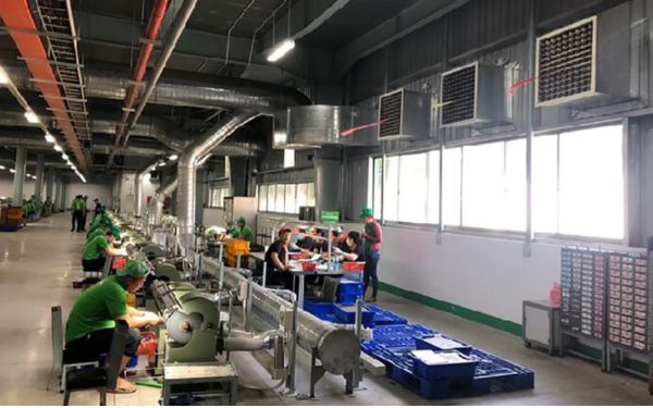 Quạt công nghiệp gắn tường được sử dụng tại nhà xưởng 